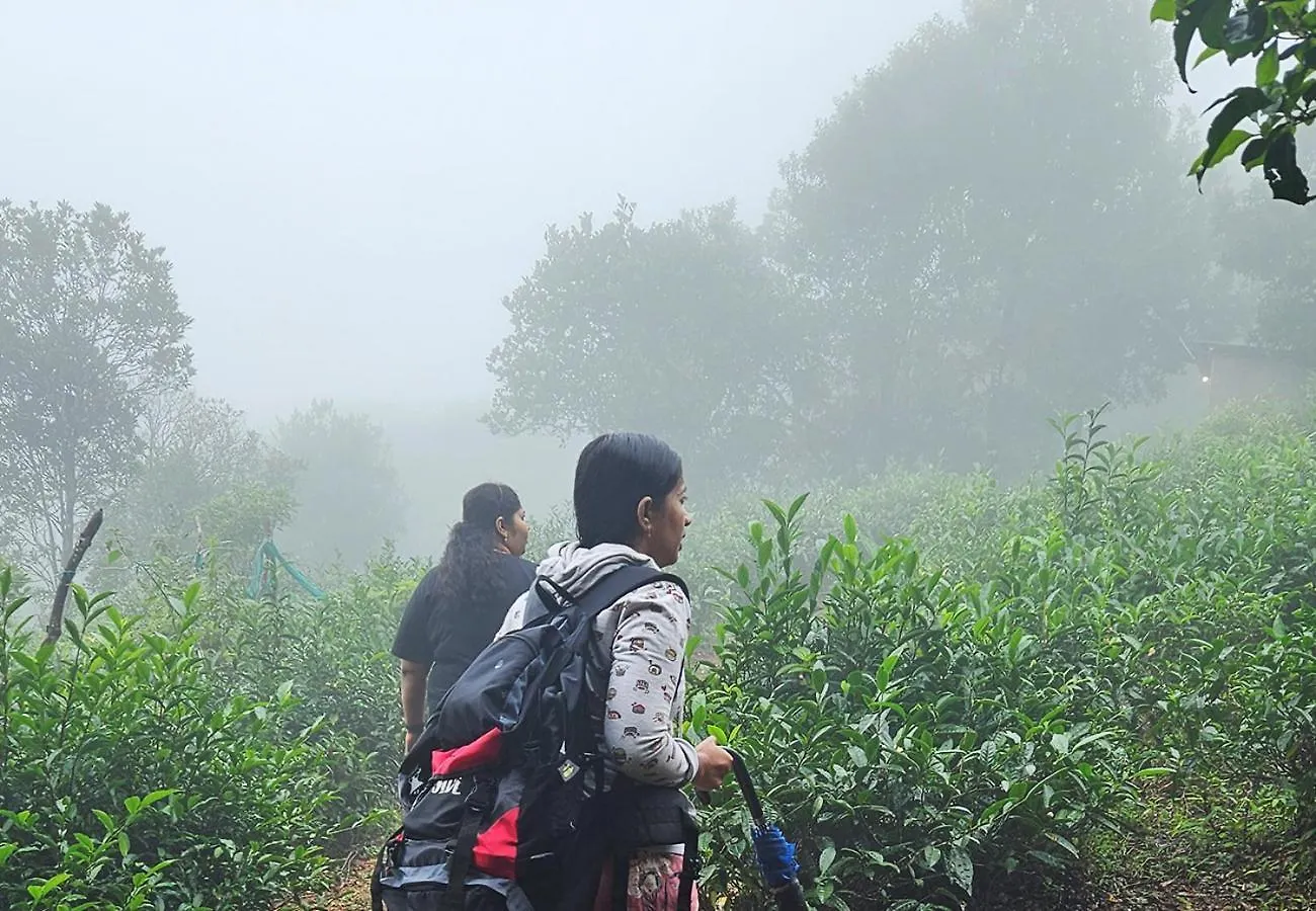 Luxury tent Campper Urumbi Hill Camp Vagamon Pirmed India