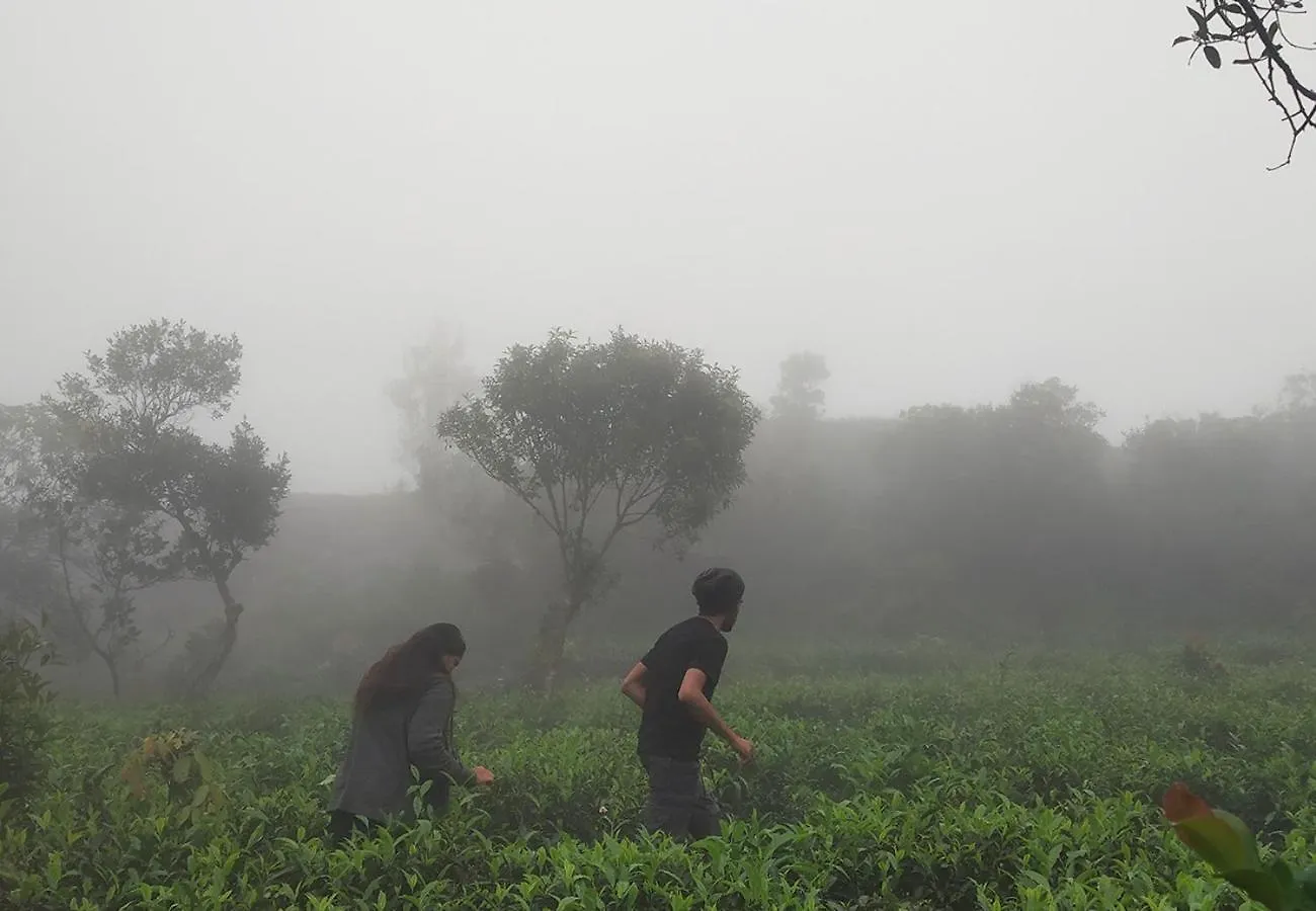 Campper Urumbi Hill Camp Vagamon Pirmed India