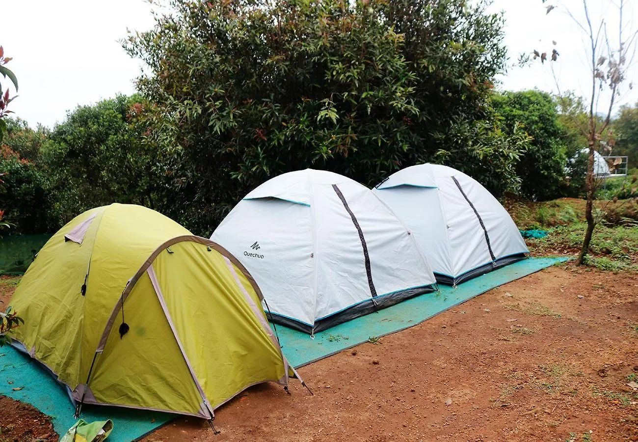Campper Urumbi Hill Camp Vagamon Pirmed Luxury tent