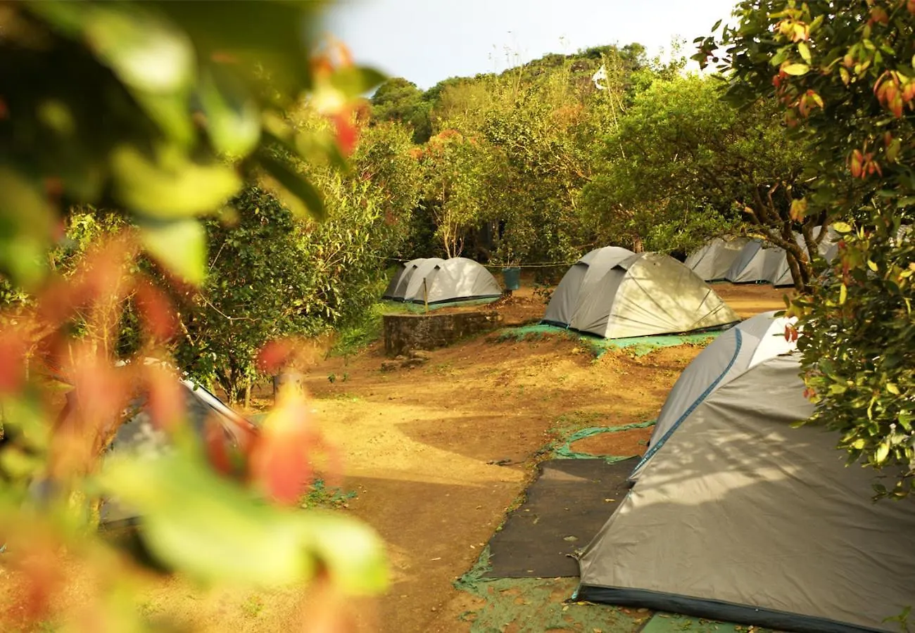 Luxury tent Campper Urumbi Hill Camp Vagamon Pirmed