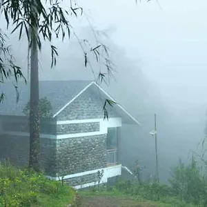 Misty Mountain Experience Pirmed