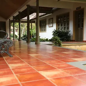 Sahyadri Ayurveda Pirmed