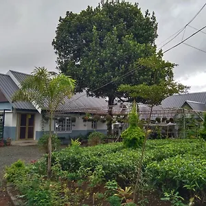 Eagle Rock Holiday Pirmed